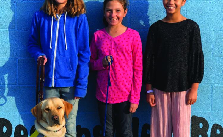 OSVD STUDENTS AND STAFF NURTURE SERVICE DOGS