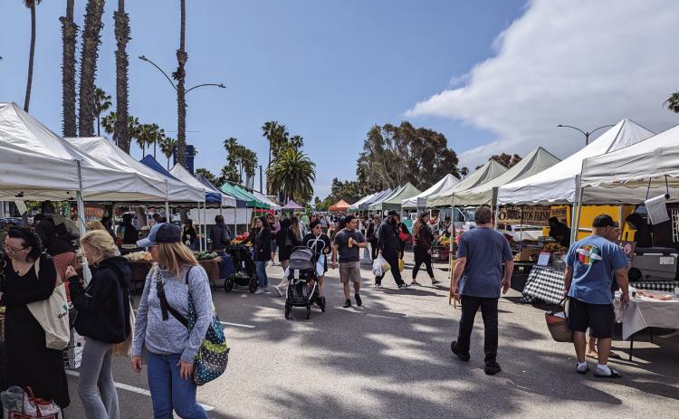 Shoppers browse the Long Beach Farmers Market. PHOTOS BY SCOTT ROGERS / FOUNTAIN VALLEY LIVING