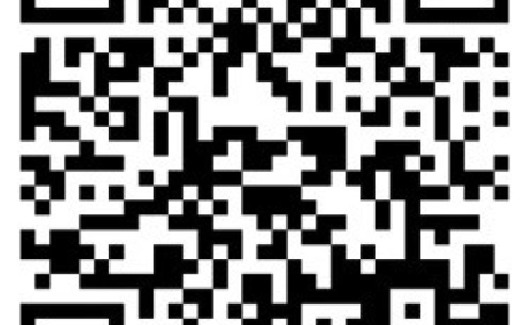 Alt Text for Image
