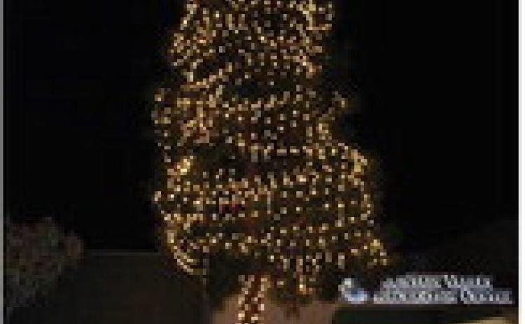 FOUNTAIN VALLEY TREE LIGHTING