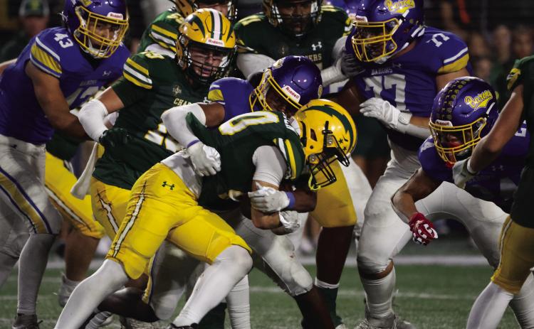 Photos by Maddie Doty, FVHS Yearbook