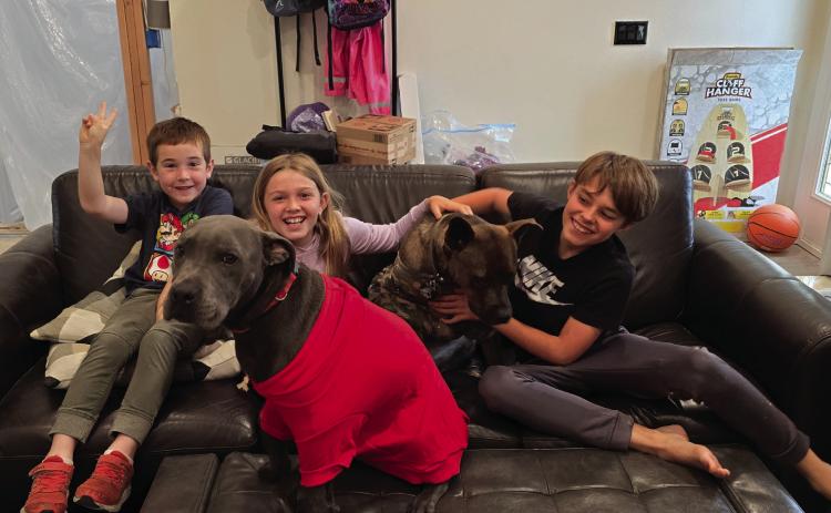PHOTOS PROVIDED BY OC ANIMAL CARE