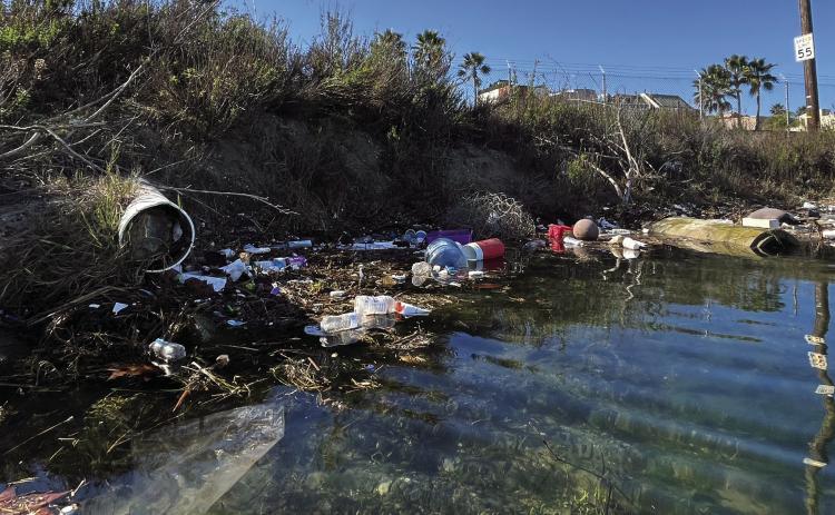 CLEANING THE HARBOR, ONE PADDLE AT A TIME