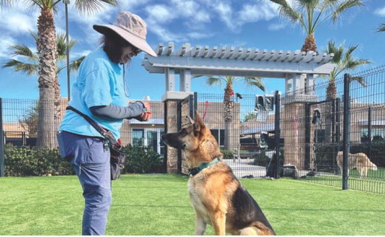 Jeanne Goodness helps exercise one of the dogs available for adoption. PHOTOS PROVIDED OC ANIMAL CARE