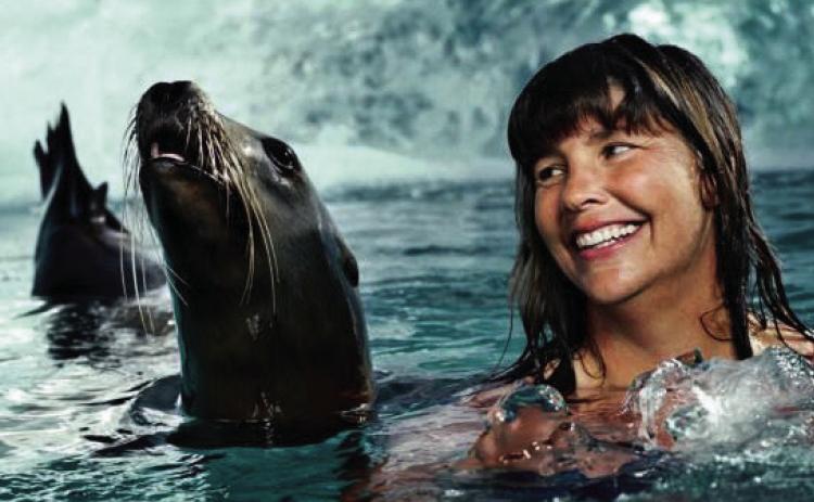 FROM GOGGLES TO GREATNESS: ONE WOMAN’S UNBELIEVABLE SWIM JOURNEY