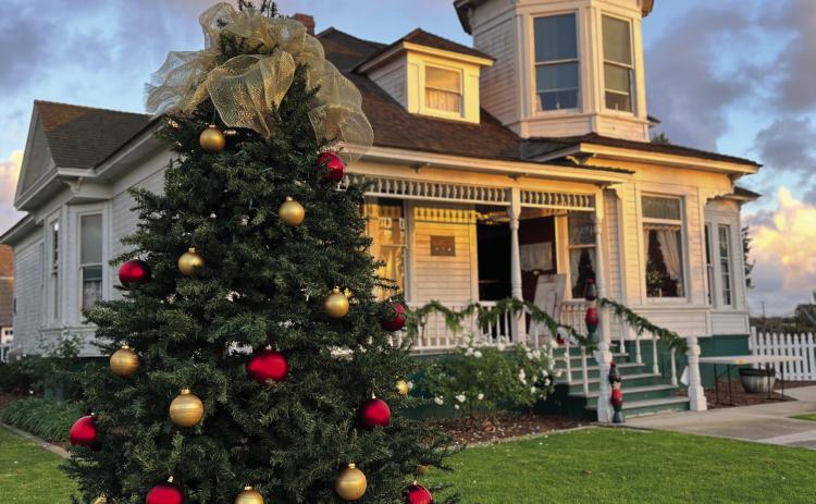CHRISTMAS WITH THE NEWLANDS