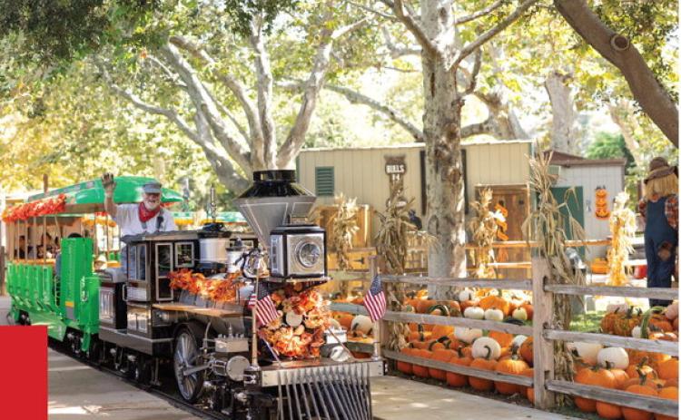 ALL-ABOARD THE PUMPKIN TRAIN!