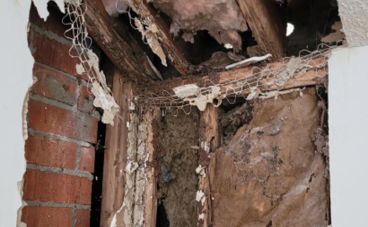 A Tale of Mold In A Home